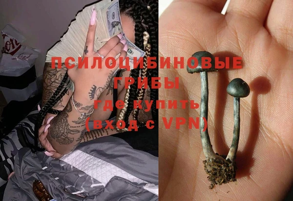 ешки Инсар
