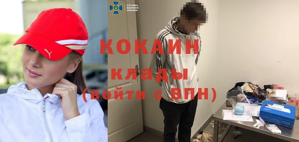 Альфа ПВП Инта