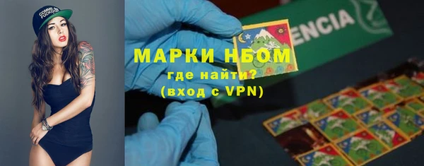 Альфа ПВП Инта