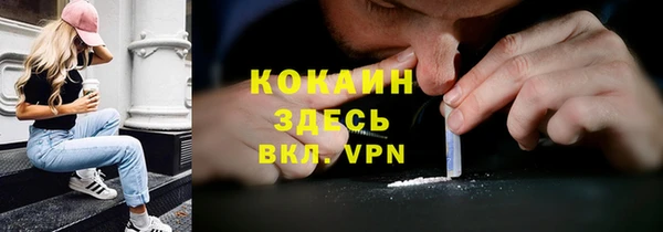 Альфа ПВП Инта
