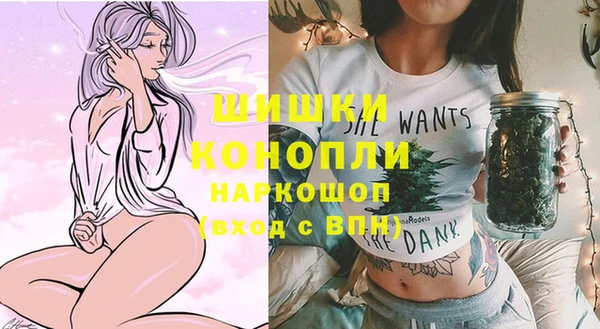 ешки Инсар