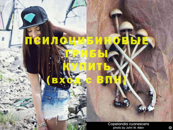 Альфа ПВП Инта