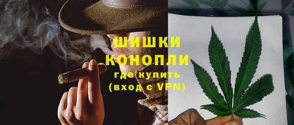Альфа ПВП Инта