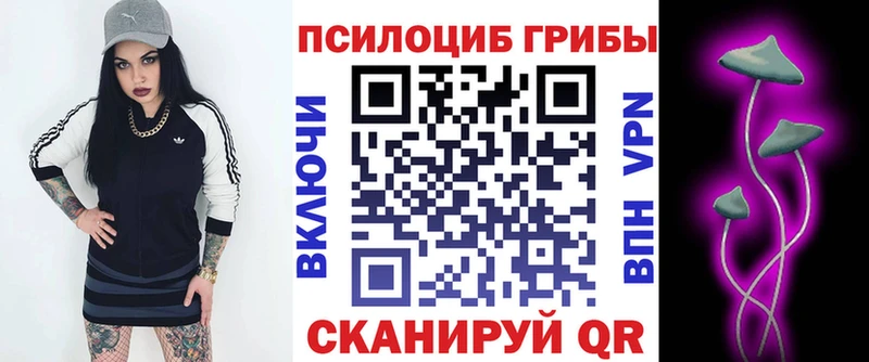 Купить где  Ершов  Галлюциногенные грибы Magic Shrooms 
